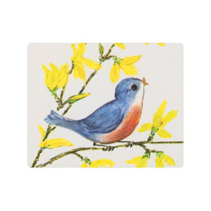 Pretty Singing Blue Red Bird Branch Yellow Flowers Metal Print