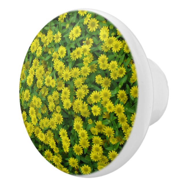 Pretty Small Yellow Flowers Ceramic Knob (Right)