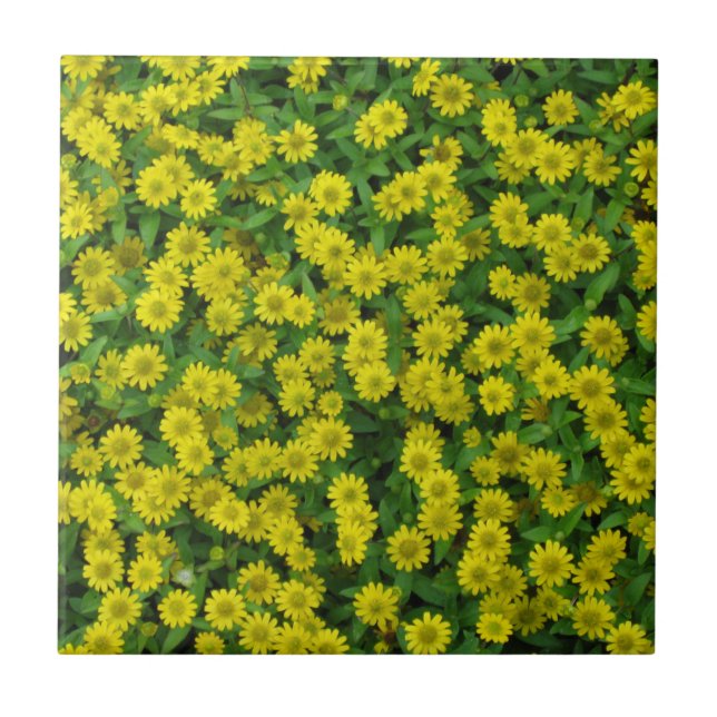 Pretty Small Yellow Flowers Ceramic Tile (Front)