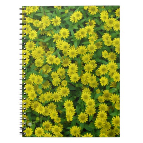 Pretty Small Yellow Flowers Notebook