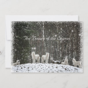 Pretty Snow Scene Nature Wolves Personalize Name Holiday Card