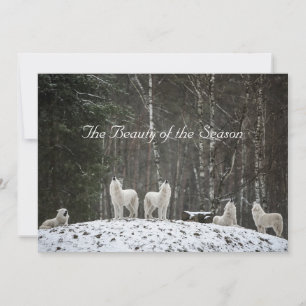 Pretty Snow Scene Nature Wolves Personalize Name Holiday Card