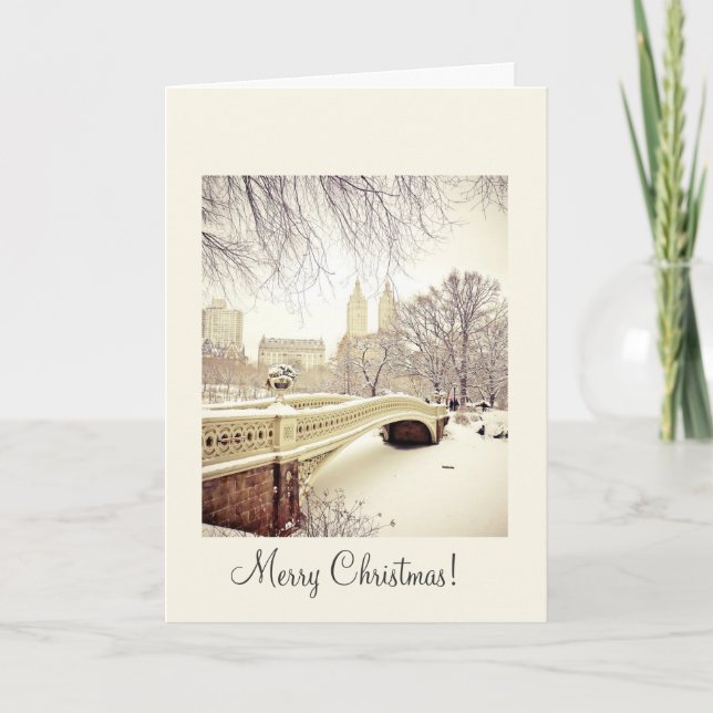 Pretty Snow - Winter - Christmas Holiday Card (Front)