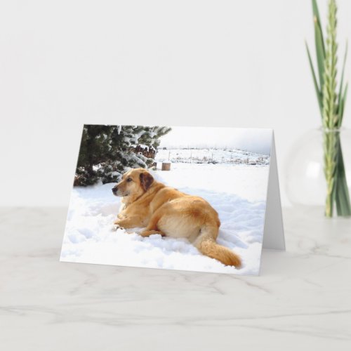 Pretty Snowscape Golden Retriever Dog Scene Holiday Card