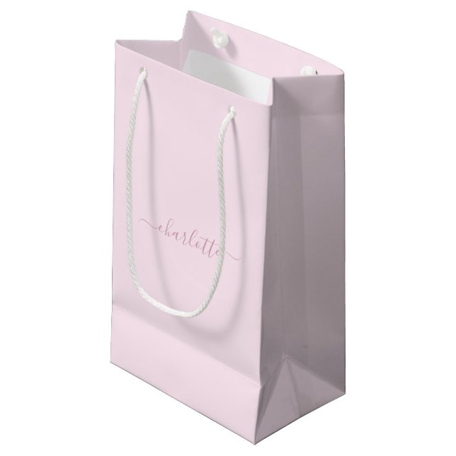 Pretty Soft Pink and Blush Small Gift Bag (Front Angled)