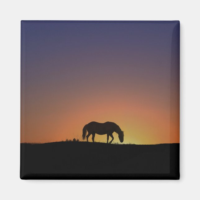 Pretty Southwestern Horse Magnet (Front)