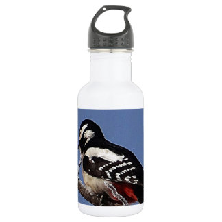 Pretty spotted woodpecker stainless steel water bottle
