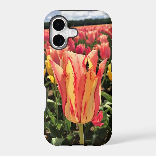 Pretty Spring Tulip, Oregon Iphone Case (Back)