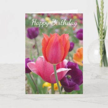 Pretty Spring Tulips Birthday Thank You Card by CindyBeePhotography at Zazzle