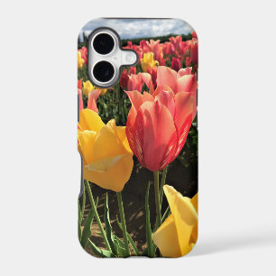 Pretty Spring Tulips in a Field, Oregon iPhone 17 Case