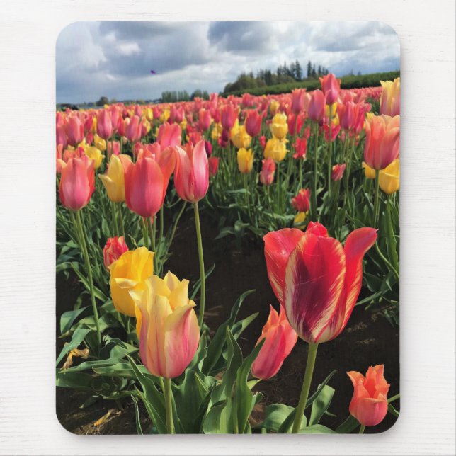 Pretty Spring Tulips in a Field, Oregon Mouse Pad (Front)