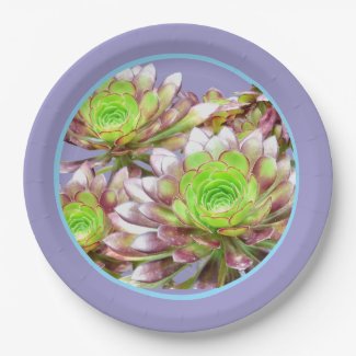 Pretty Succulent Plants Paper Plate