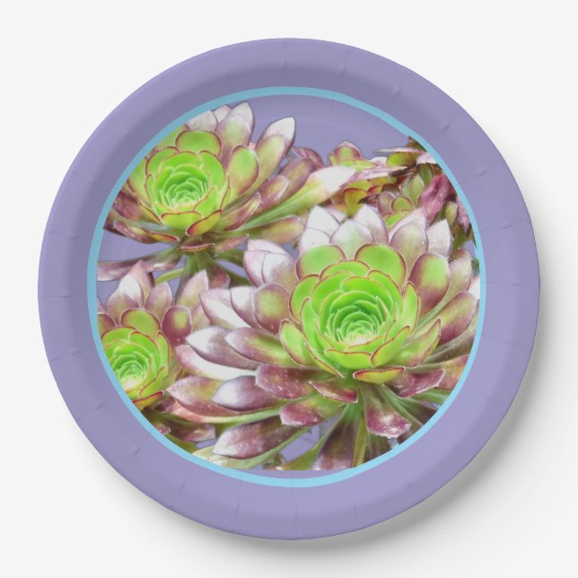 Pretty Succulent Plants Paper Plate (Front)