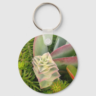 Pretty Succulents Keychain