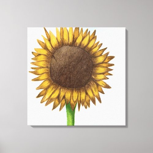 Pretty Sunflower Canvas Print
