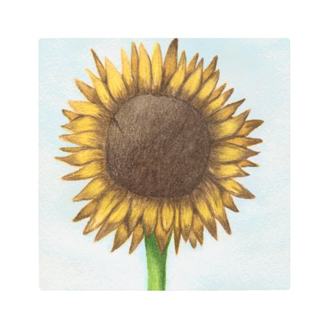 Pretty Sunflower Metal Print (Front)