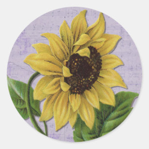 Pretty Sunflower On Sheet Music Classic Round Sticker