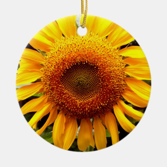 Pretty Sunflower photo Ceramic Ornament (Front)