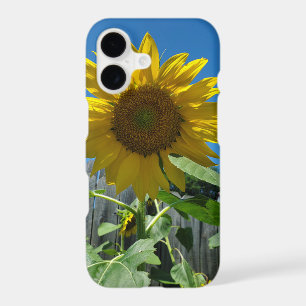 Pretty Sunflower Photography iPhone 17 Case