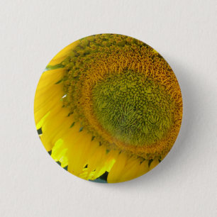 Pretty sunflower pinback button
