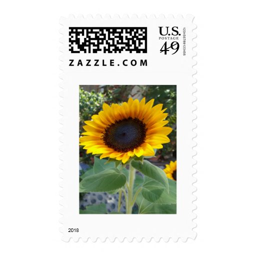 Pretty Sunflower Postage Stamps