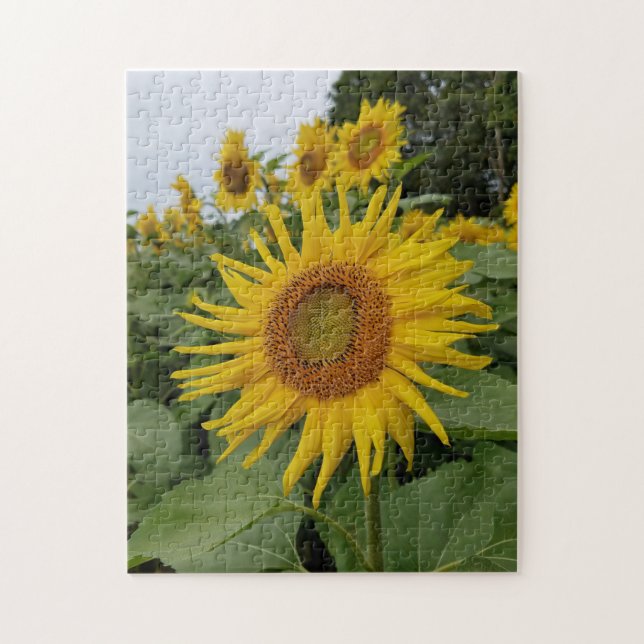 Pretty Sunflowers Jigsaw Puzzle (Vertical)