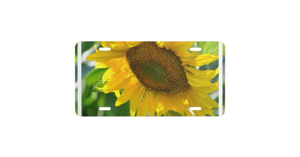 Pretty Sunflowers License Plate Zazzle