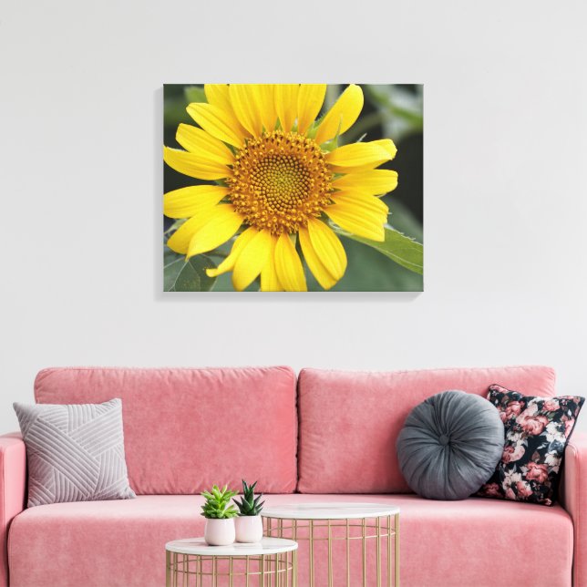 Pretty Sunny Yellow Sunflower 20" x 16" Canvas Print (Insitu(LivingRoom))