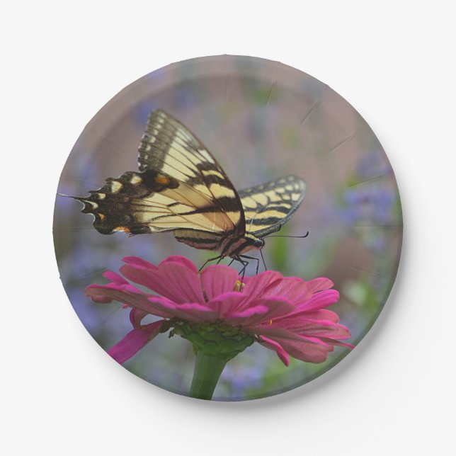 Pretty Swallowtail Butterfly Paper Plates (Front)