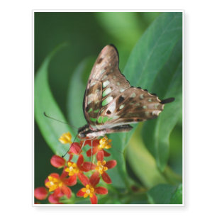 Pretty Swallowtail Butterfly Temporary Tattoos