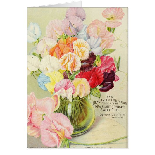 Pretty Sweet Peas Cards (Front)
