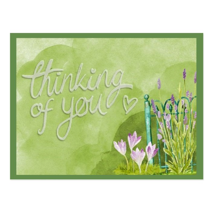 Pretty Thinking of You Postcard | Zazzle.com