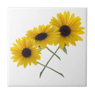 Pretty Triple Sunflower Photograph Ceramic Tile