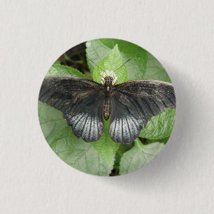 Pretty Tropical Butterfly and Flowers Button