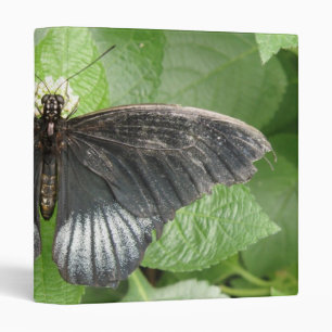 Pretty Tropical Butterfly and Flowers Photo Album 3 Ring Binder