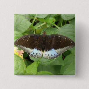 Pretty Tropical Butterfly Button