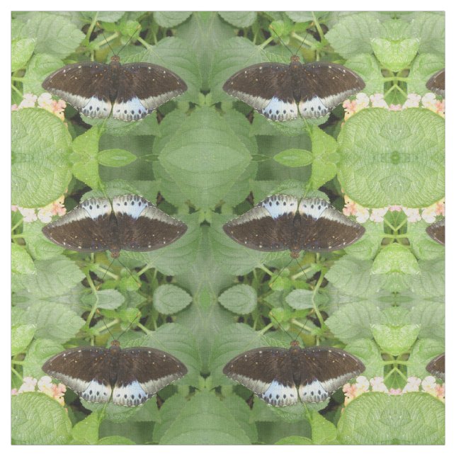 Pretty Tropical Butterfly Patterned Animal Fabric (Swatch)