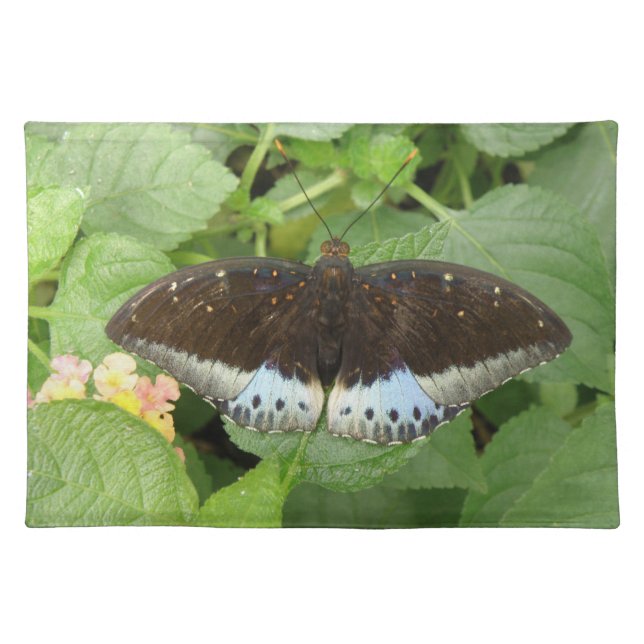 Pretty Tropical Butterfly Placemat (Front)