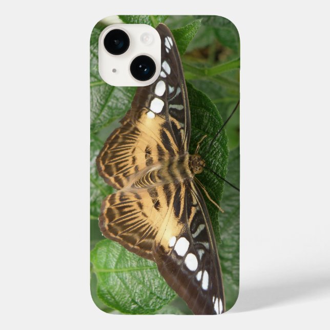 Pretty Tropical Clipper Butterfly Case-Mate iPhone Case (Back)