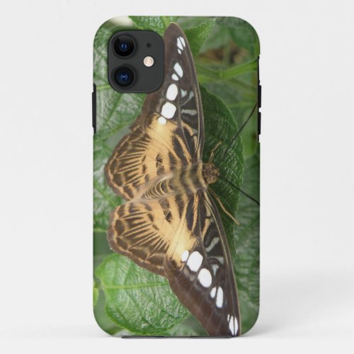 Pretty Tropical Clipper Butterfly iPhone Case