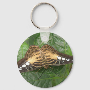 Pretty Tropical Clipper Butterfly Keychain