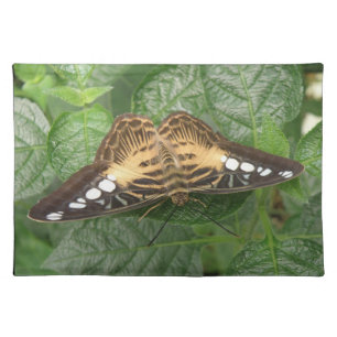 Pretty Tropical Clipper Butterfly Placemat