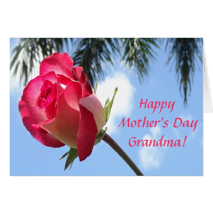 Pretty Tropical Happy Mothers Day Grandma Cards