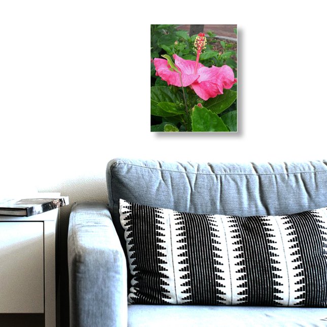 Pretty Tropical Pink Hibiscus Anole Lizard Photo Acrylic Print (Colorful pink Hibiscus and anole lizard wall art)