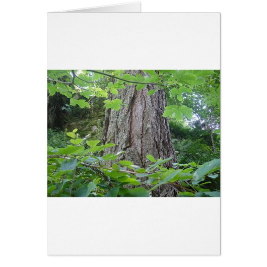 Pretty trunk cards (Front)