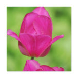 Pretty Tulips Invitations