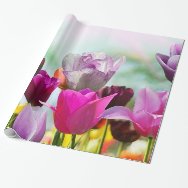 Pretty Tulips Wrapping Paper (Unrolled)