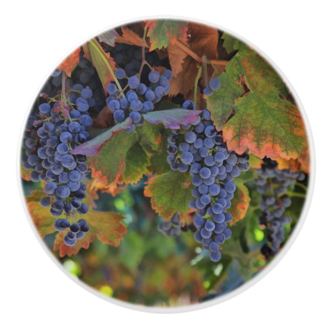 Pretty Vineyard Wine Country Knobs and Pulls (Front)