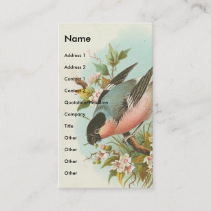 Pretty Vintage Bird Business Card