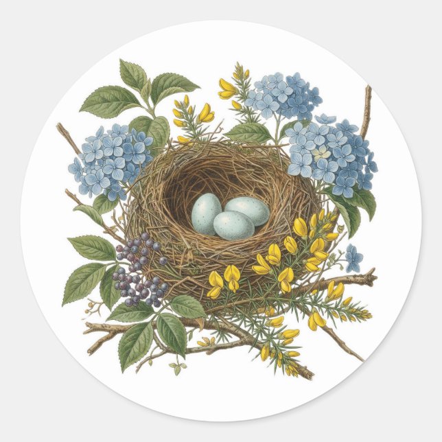 Pretty Vintage Bird Nest Sticker (Front)
